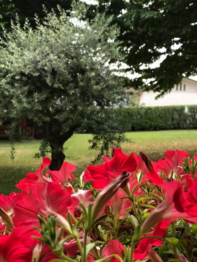 Gina & Jeto Villa Farra di Soligo Dış mekan fotoğraf
