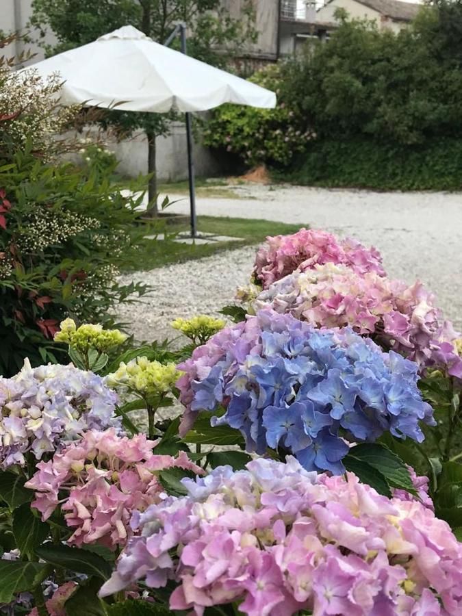 Gina & Jeto Villa Farra di Soligo Dış mekan fotoğraf