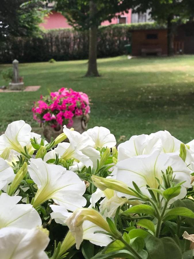 Gina & Jeto Villa Farra di Soligo Dış mekan fotoğraf
