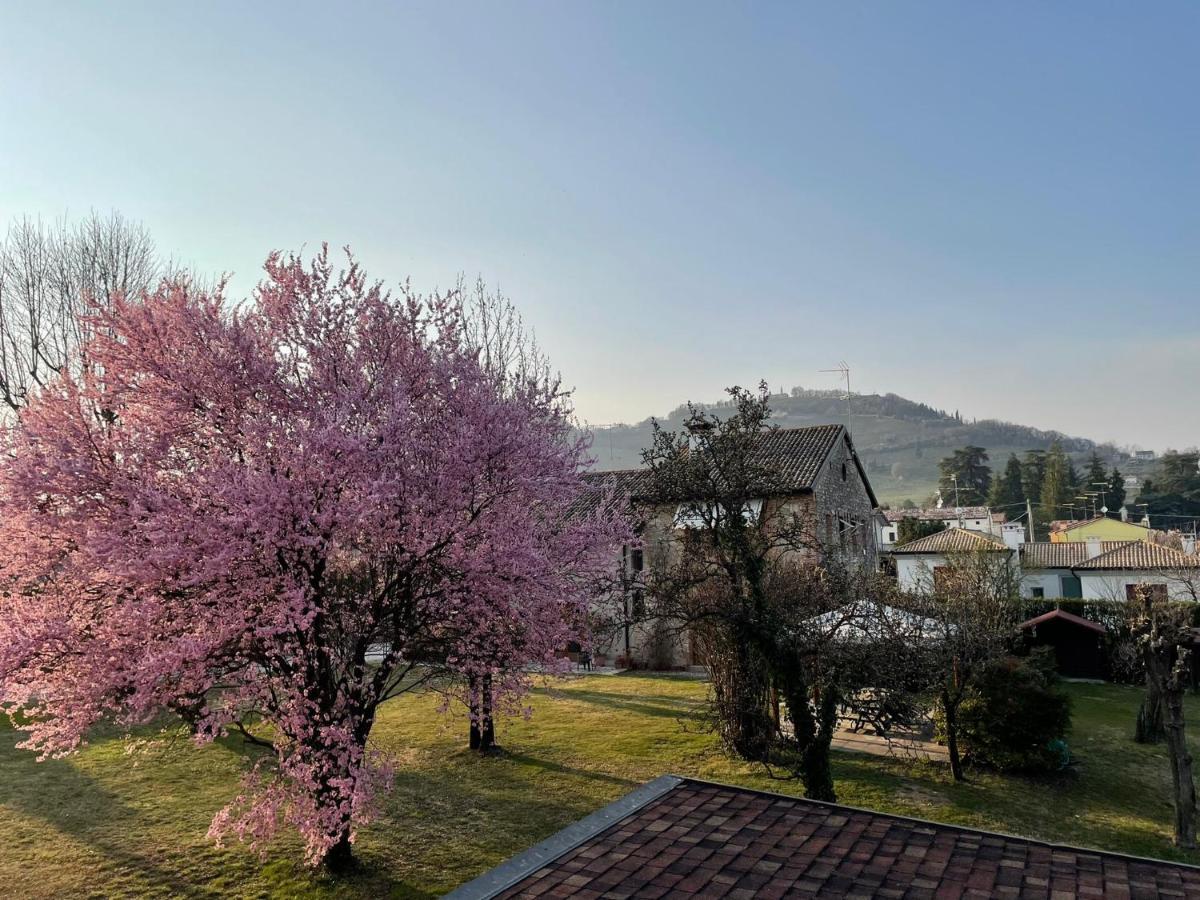 Gina & Jeto Villa Farra di Soligo Dış mekan fotoğraf